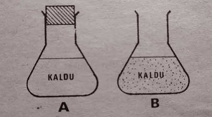 5 Teori Asal Usul Kehidupan yang mencengangkan, Siapa Tokoh Pencetusnya? Simak di sini! 5 Omne Ovum Ex Vivo