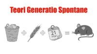 Teori Generatio Spontanea