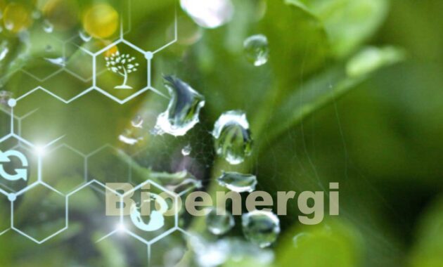 bioenergi