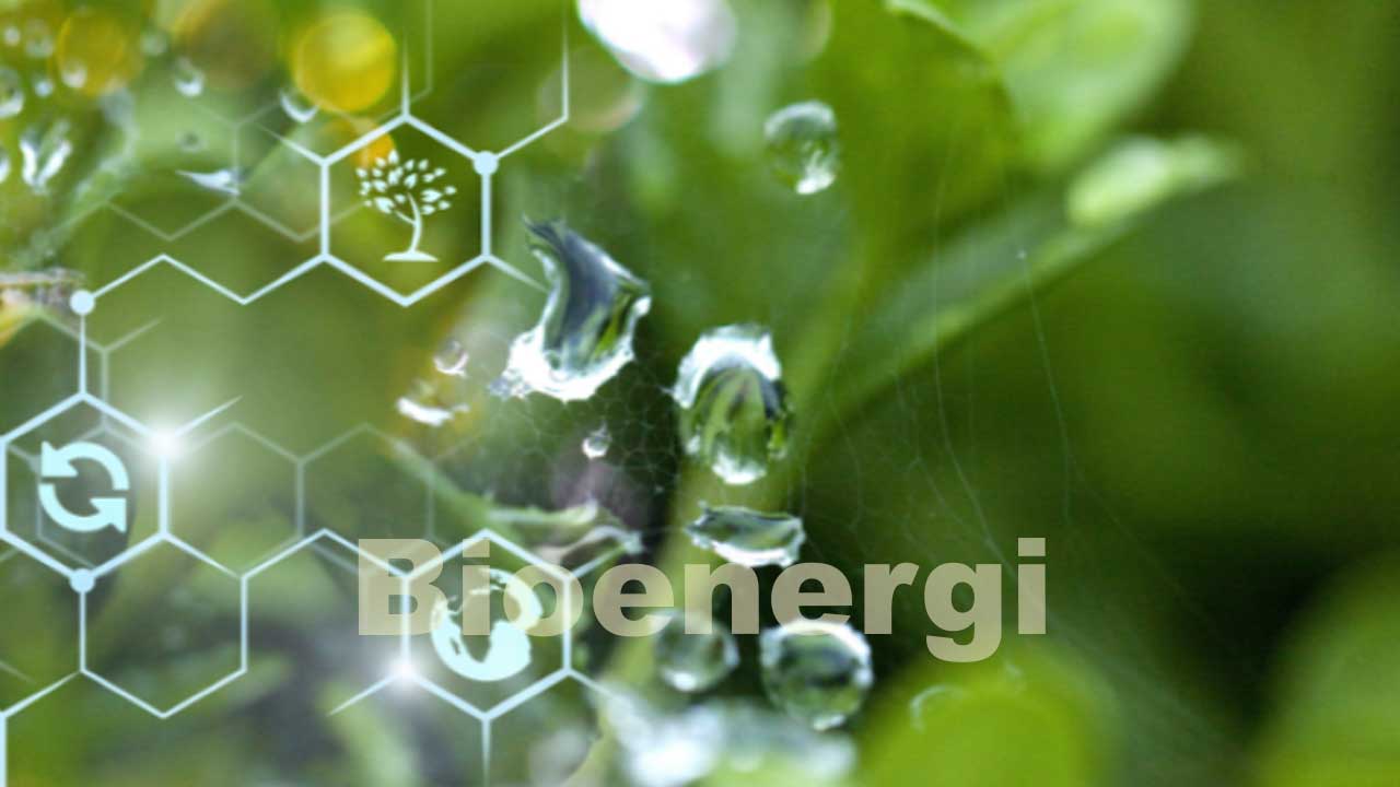 Contoh Penerapan Biologi dalam Bidang Energi: Solusi Ramah Lingkungan untuk Masa Depan