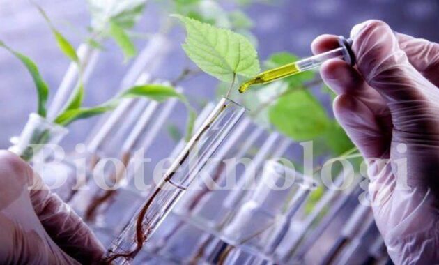 bioteknologi