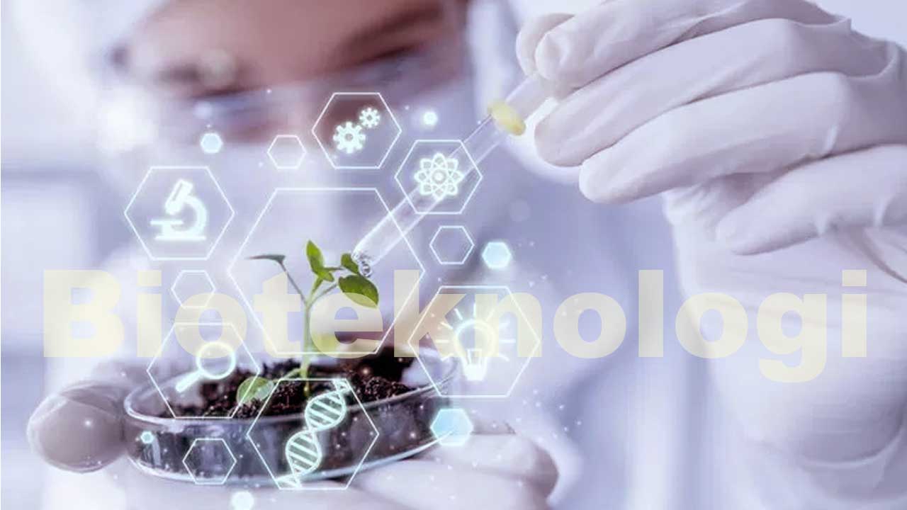 Contoh Penerapan Biologi dalam Bidang Kesehatan