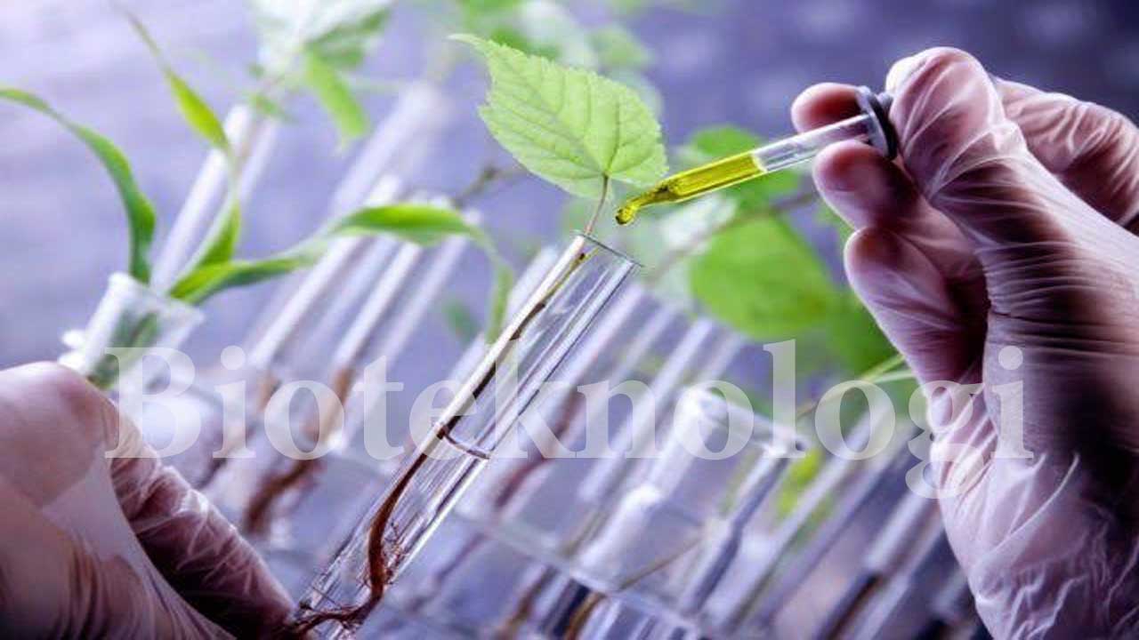 Bioteknologi: Pengertian, Jenis, Manfaat, dan Penerapannya dalam Kehidupan
