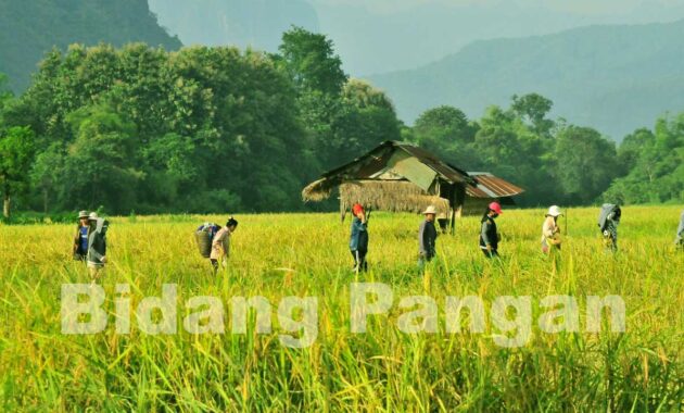 contoh penerapan biologi dalam bidang pangan