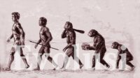 evolusi