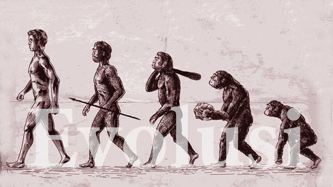 Evolusi: Pengertian, Proses, dan Dampaknya dalam Kehidupan