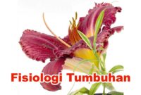 Fisiologi Tumbuhan