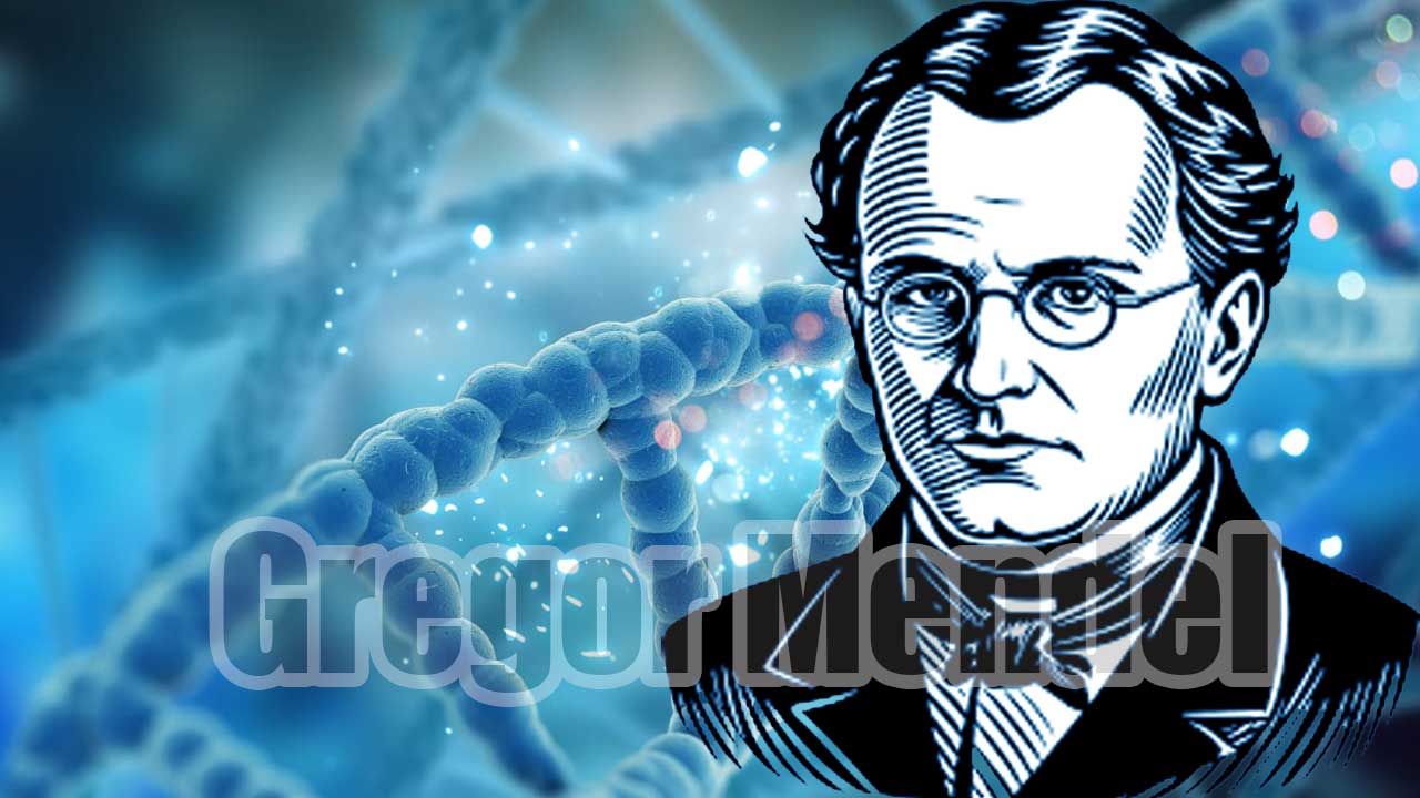 gregor mendel Penemu Hukum Pewarisan