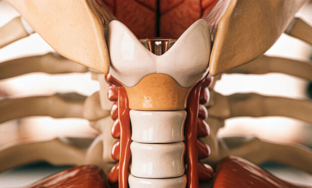 Laring (Kotak Suara)