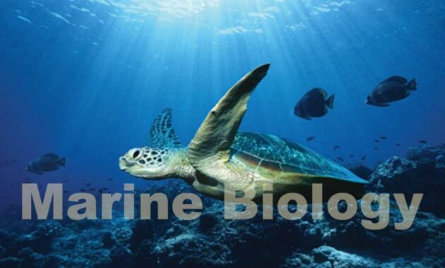 marine biology
