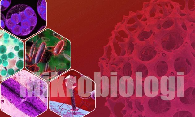 mikrobiologi