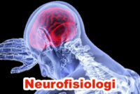 Neurofisiologi