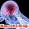 Neurofisiologi