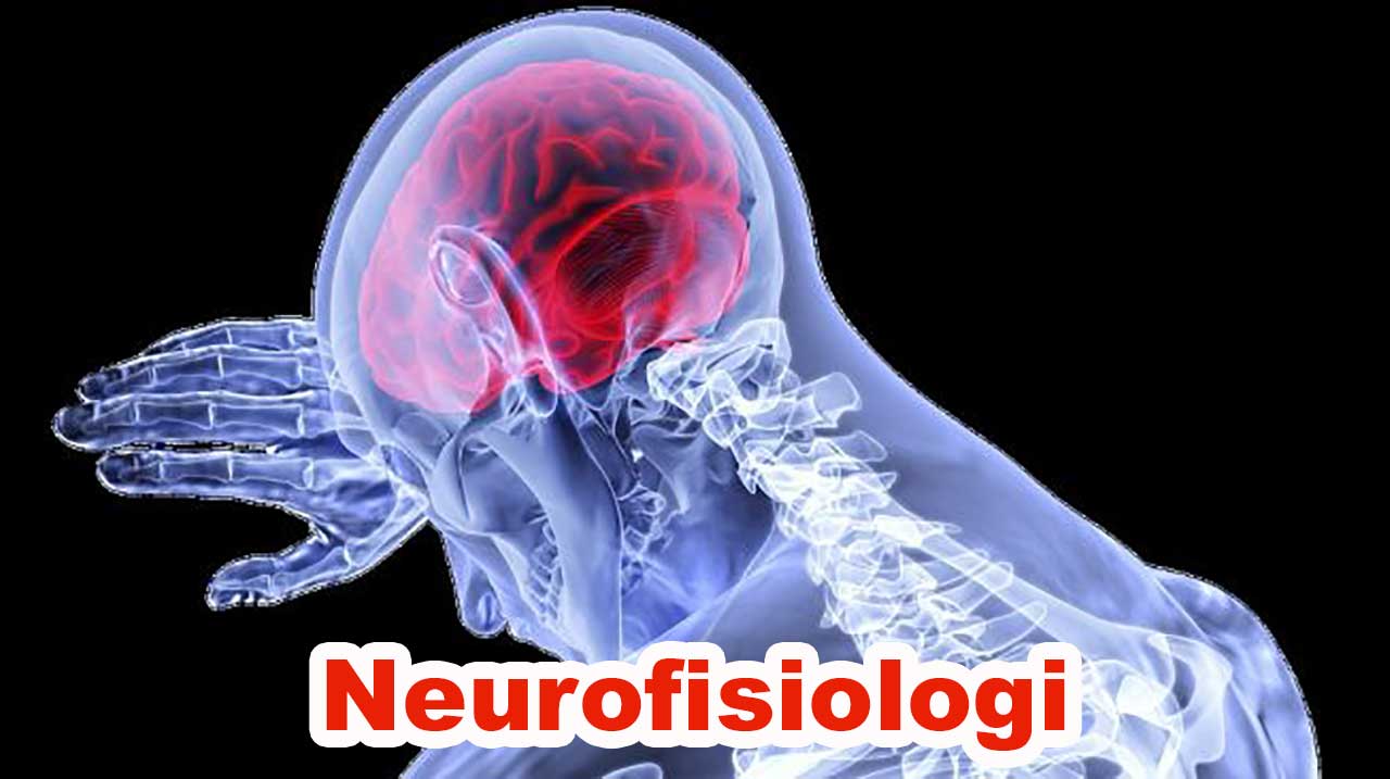 Neurofisiologi: Memahami Cara Kerja Sistem Saraf dalam Tubuh