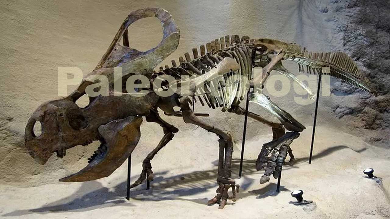 paleontologi