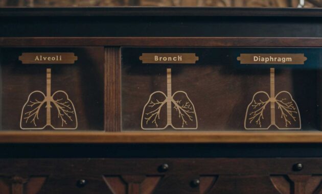 Proses Respirasi Manusia