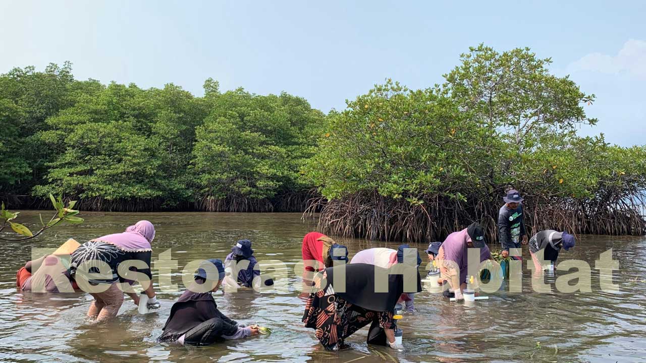 Contoh Penerapan Biologi dalam Bidang Lingkungan
