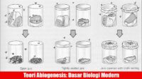 teori abiogenesis, dasar biologi modern