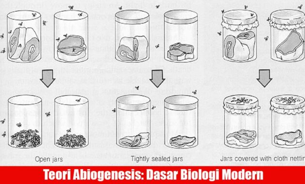 teori abiogenesis, dasar biologi modern