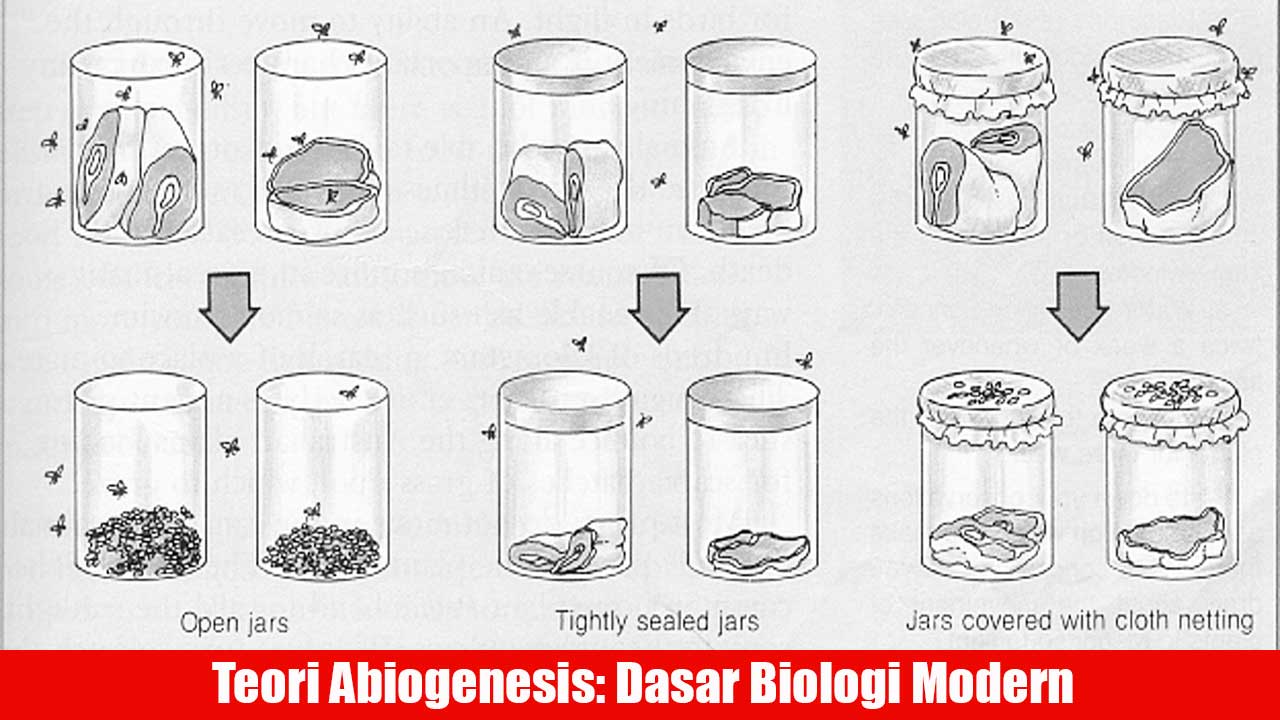 Teori Abiogenesis: Dasar Biologi Modern