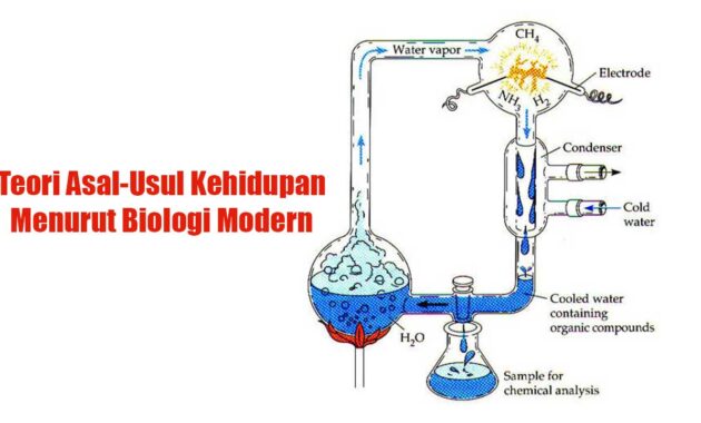 teori asal usul kehidupan menurut biologi modern