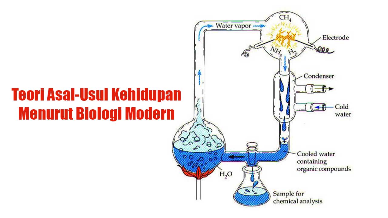 Teori Asal-Usul Kehidupan Menurut Biologi Modern