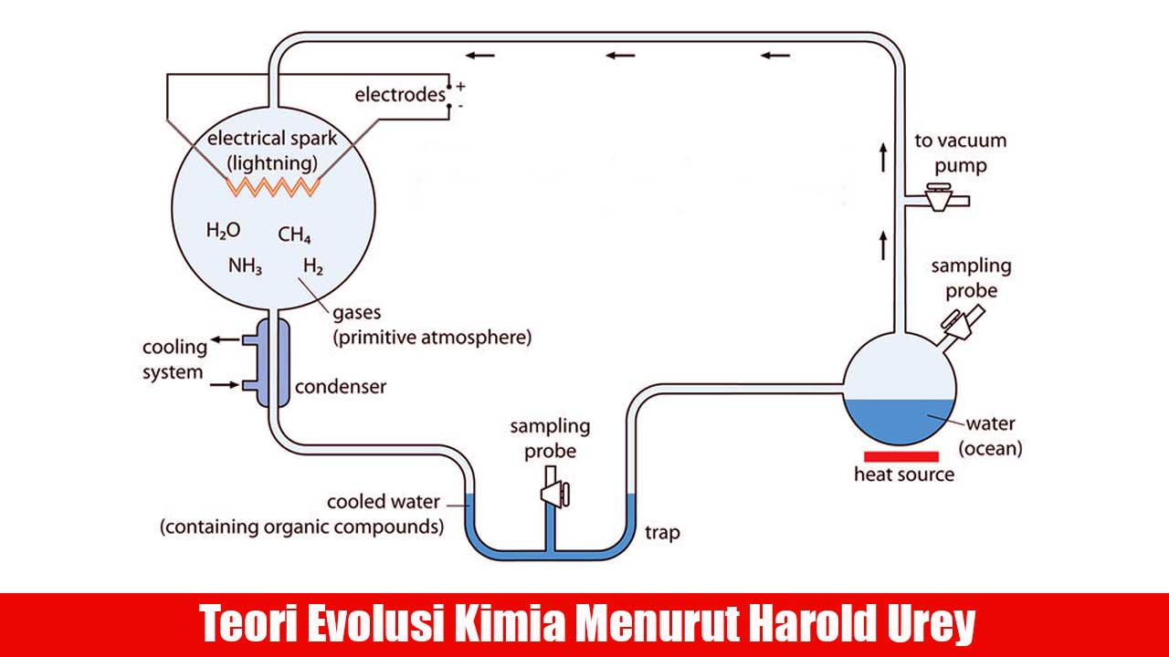 teori evolusi kimia menurut harold urey