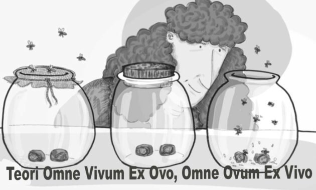 teori omne vivum ex ovo, omne ovum ex vivo