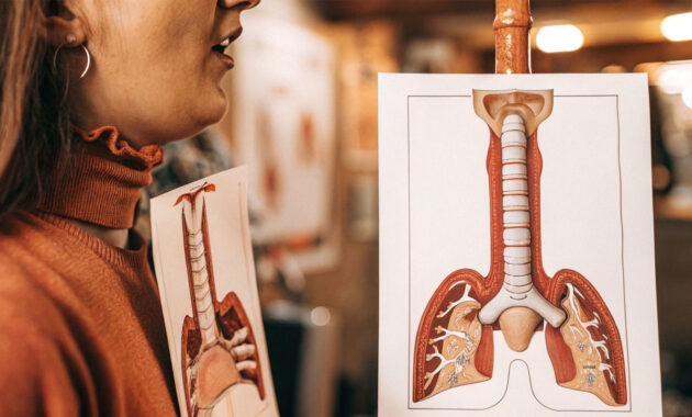 Trakea (Batang Tenggorokan)