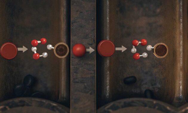 Transportasi Gas dalam Darah