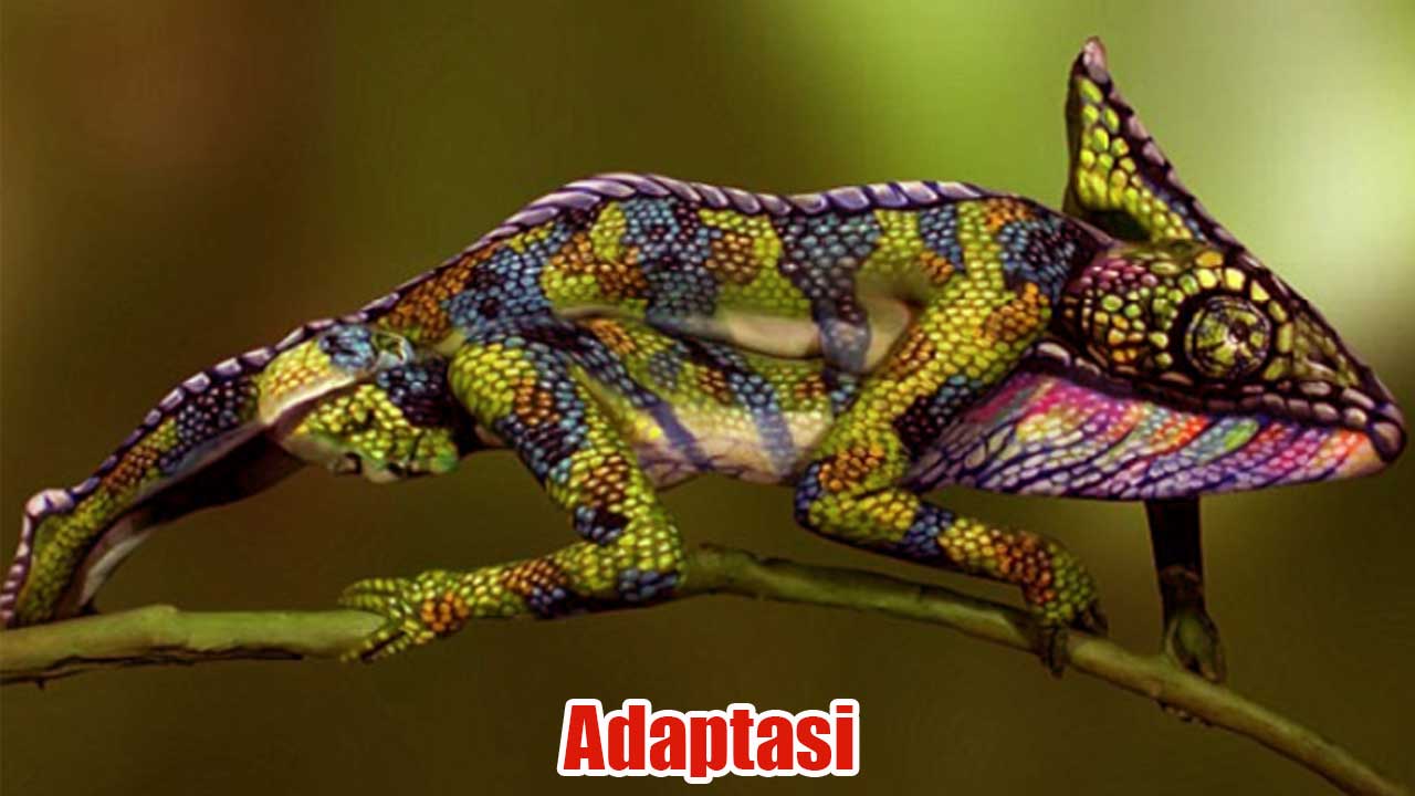 Adaptasi Makhluk Hidup: Strategi Bertahan Hidup di Berbagai Lingkungan