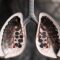 Alveolus
