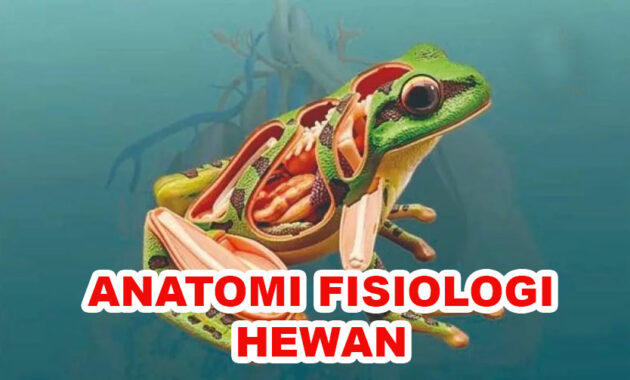 anatomi fisiologi hewan
