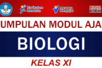 Kumpulan Modul Ajar Biologi Kelas XI Fase F