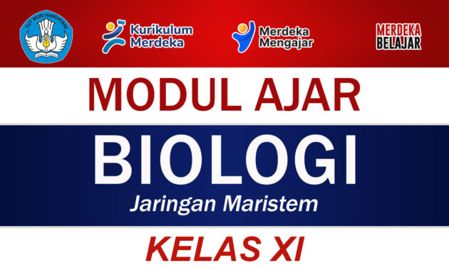 Modul Ajar Biologi Kelas XI Jaringan Maristem