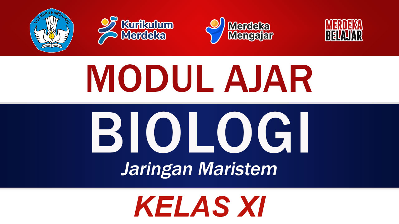 Modul Ajar Biologi Kelas XI Jaringan Maristem