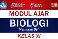 Modul Ajar Biologi Kelas XI Membran Sel