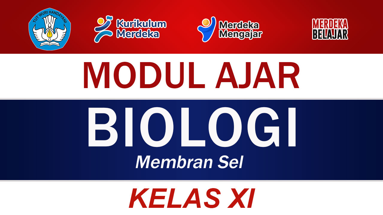 Modul Ajar Biologi Kelas XI Membran Sel