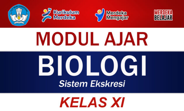 Modul Ajar Biologi Kelas XI Sistem Ekskresi