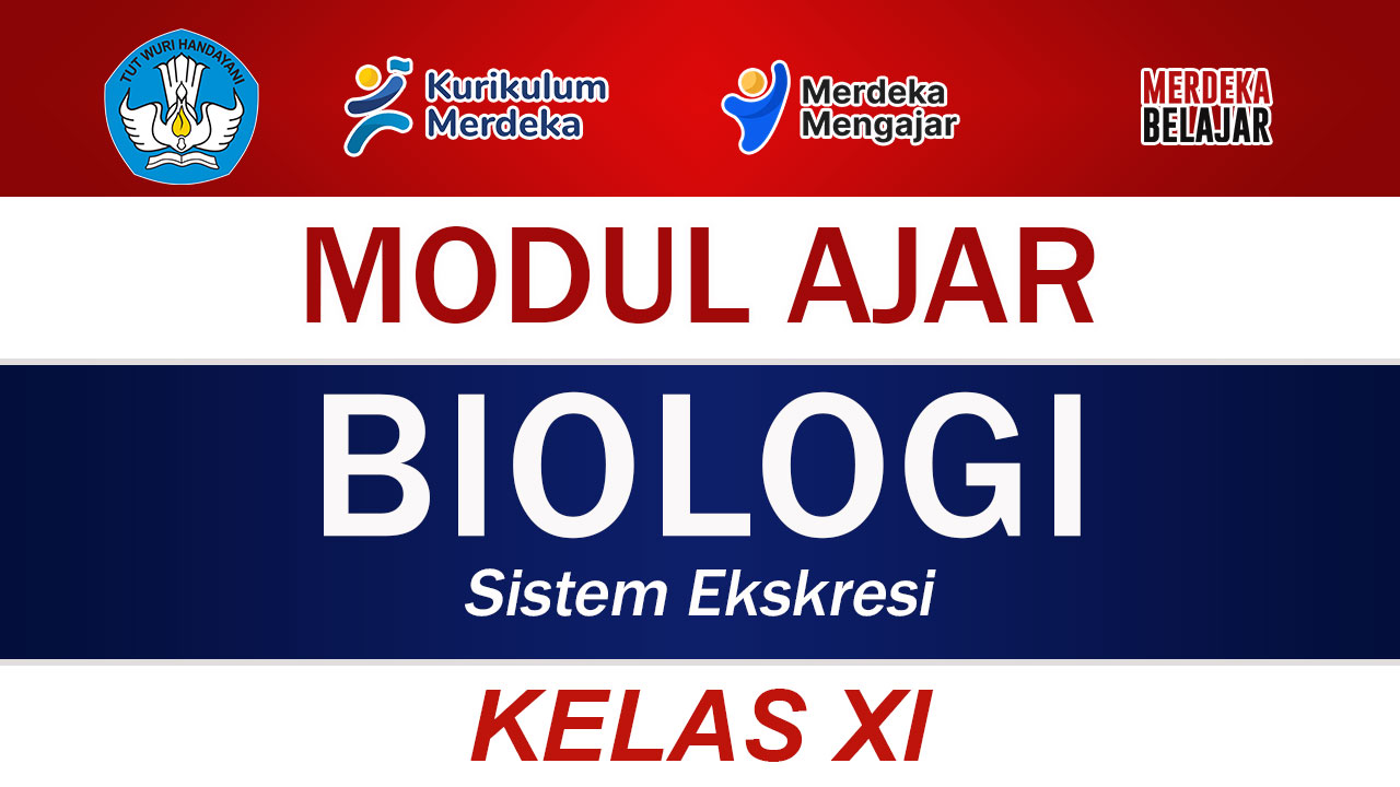 Modul Ajar Biologi Kelas XI Sistem Ekskresi