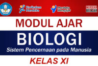 Modul Ajar Biologi Kelas XI Sistem Pencernaan pada Manusia