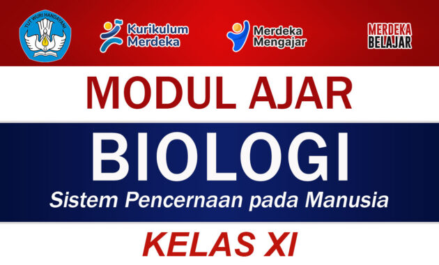 Modul Ajar Biologi Kelas XI Sistem Pencernaan pada Manusia