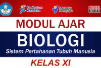 Modul Ajar Biologi Kelas XI Sistem Pertahanan Tubuh Manusia
