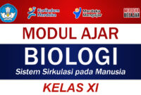 Modul Ajar Biologi Kelas XI Sistem Sirkulasi pada Manusia