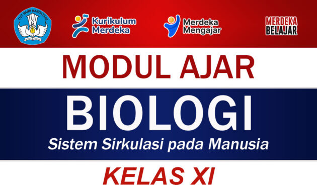 Modul Ajar Biologi Kelas XI Sistem Sirkulasi pada Manusia