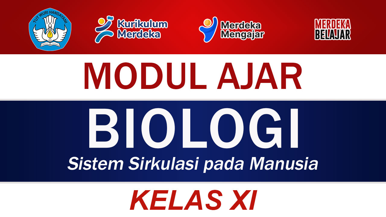 Modul Ajar Biologi Kelas XI Sistem Sirkulasi pada Manusia