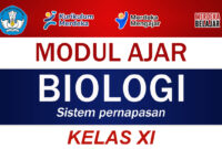 Modul Ajar Biologi Kelas XI Sistem pernapasan