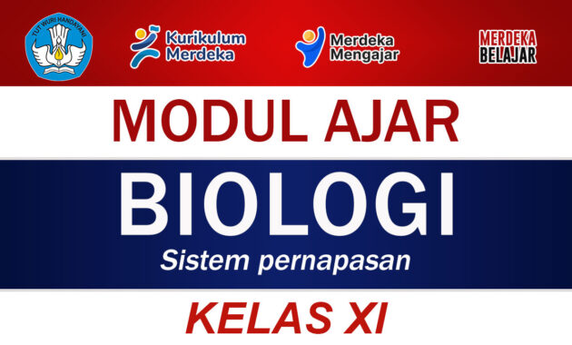 Modul Ajar Biologi Kelas XI Sistem pernapasan