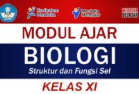 Modul Ajar Biologi Kelas XI: Struktur dan Fungsi Sel