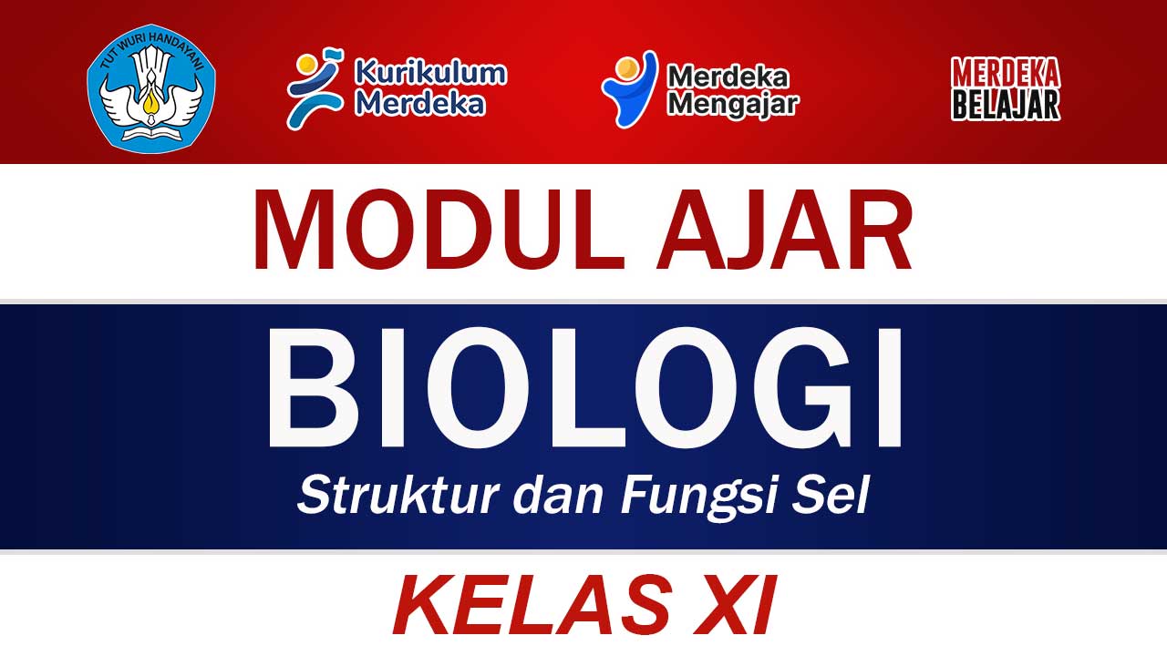 Modul Ajar Biologi Kelas XI: Struktur dan Fungsi Sel